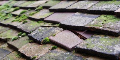 Aber Arad roof repair costs